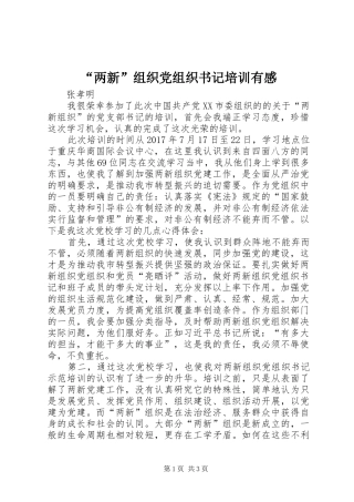 “两新”组织党组织书记培训有感