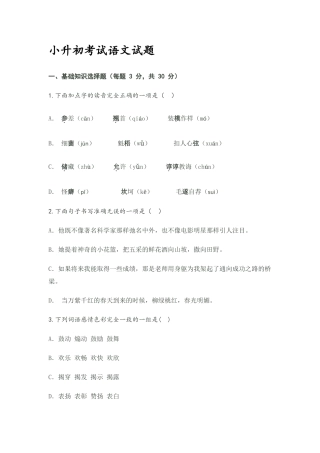 小升初考试语文试题