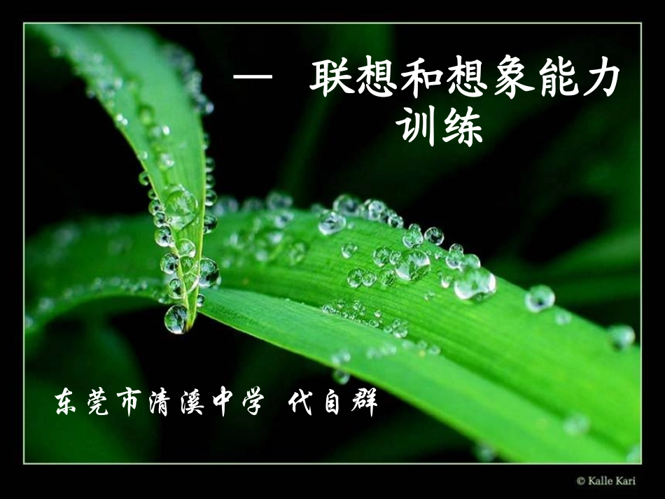 高中语文联想和想象能力训练课件_第1页