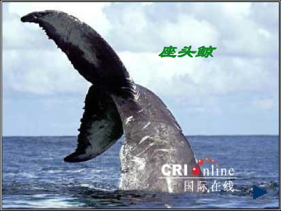 高中语文(这个世界的音乐)课件6 北京版必修2 课件_第2页