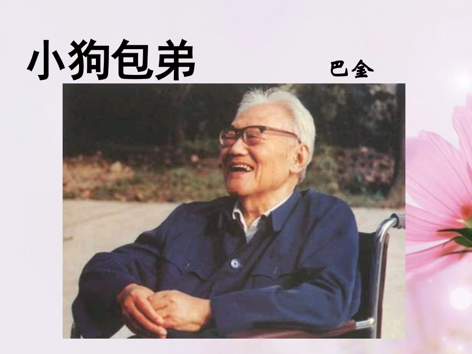 高中语文 小狗包弟课件1课件 新人教版必修1 课件_第3页