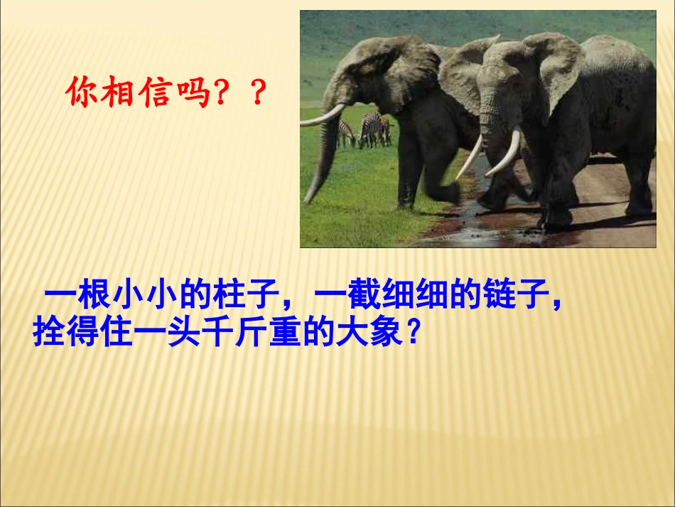 好习惯养成主题班会_第2页