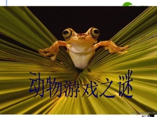 高中语文(动物游戏之谜)课件6 新人教版必修3 课件