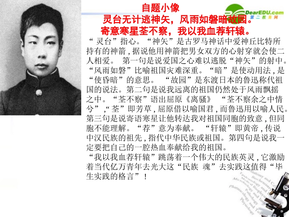 高中语文 第四单元第13课(呐喊)自序课件 大纲人教版第一册 课件_第3页