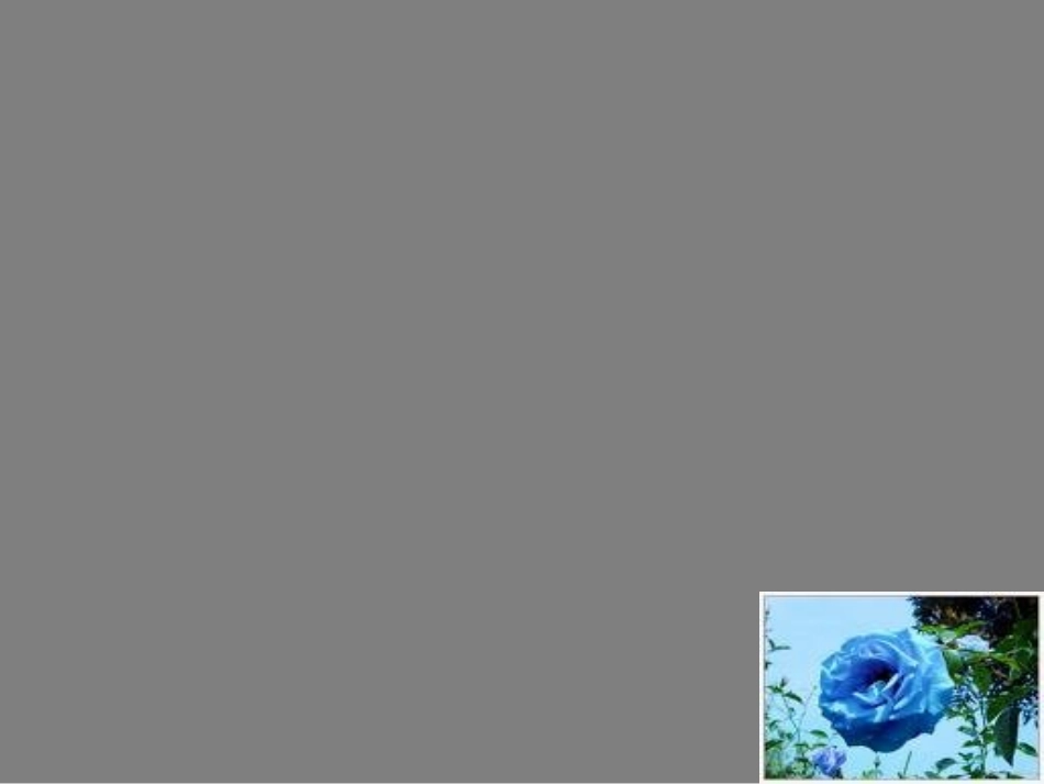 高中语文(变形记)精品课件 粤教版必修4 课件_第2页