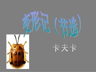 高中语文(变形记)精品课件 粤教版必修4 课件