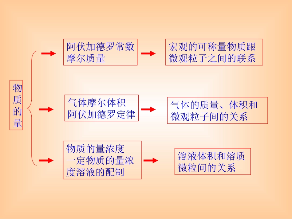 摩尔复习课课件_第1页
