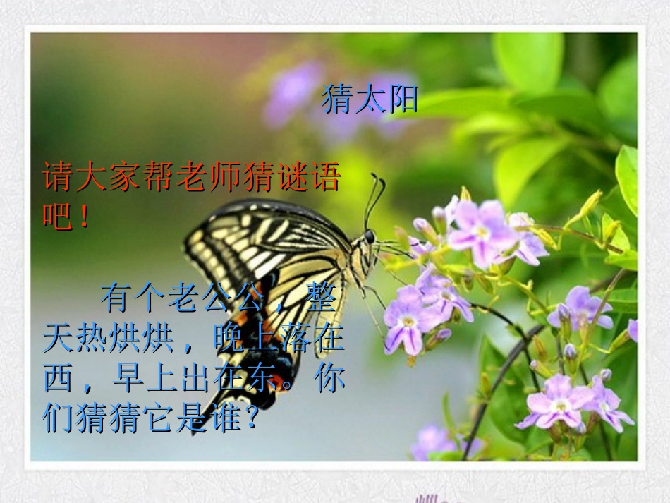 我给太阳打电话_第1页