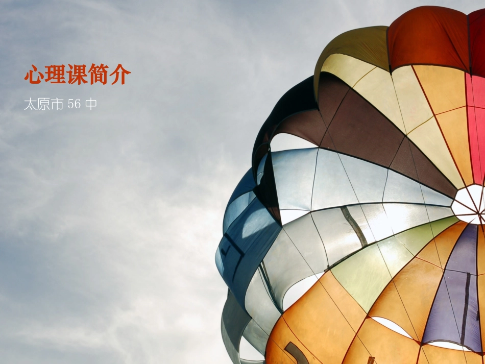 心理课简介高一年级_第1页