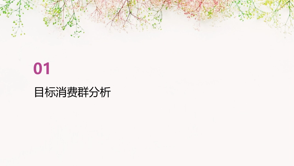 目标消费群品牌推广策略和销售管理课件_第3页