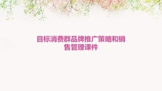 目标消费群品牌推广策略和销售管理课件