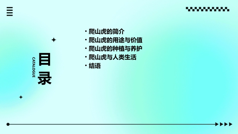 那片绿绿的爬山虎课件()_第2页