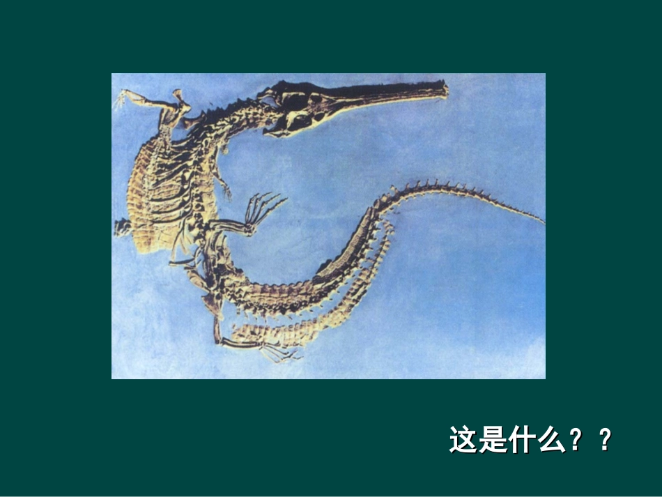 湘教版七年级地理上册我们身边的地理知识ppt 课件_第3页