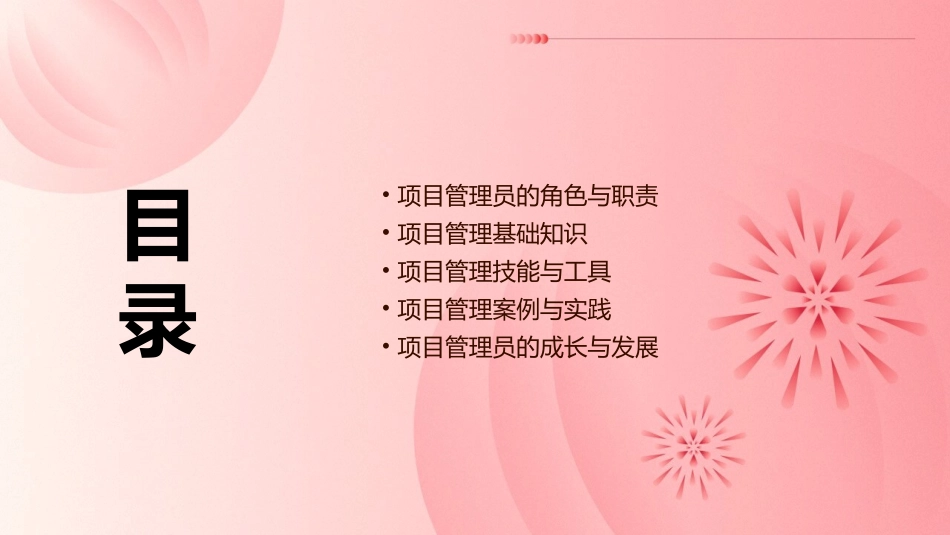 项目管理员培训材料课件_第2页