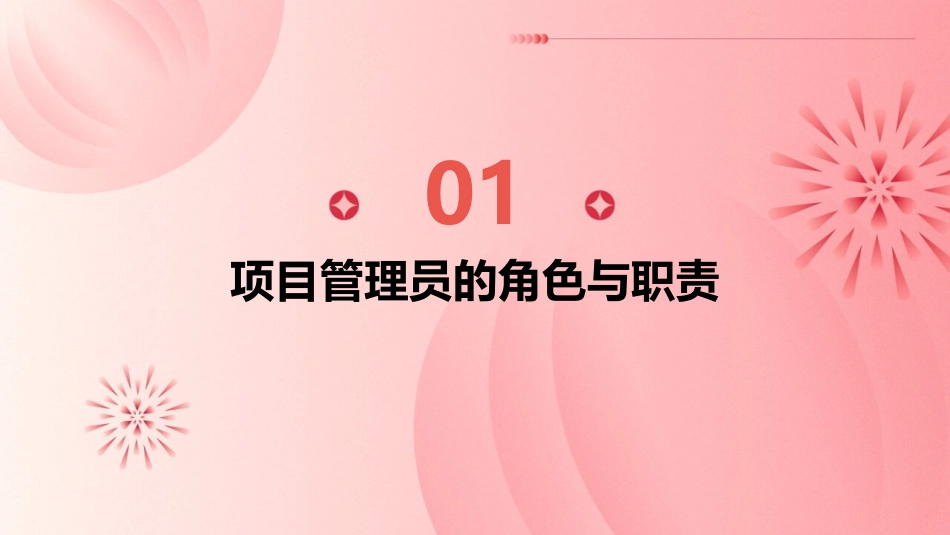 项目管理员培训材料课件_第3页