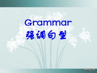 高一英语语法强调句型 新课标 人教版  1 课件