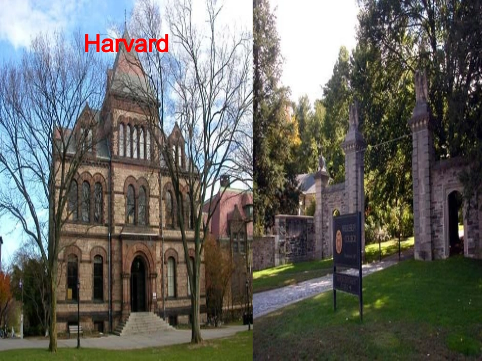 高中英语(unit5 Reading)教学课件 新人教版选修7 课件_第3页