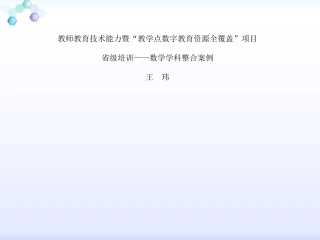 整合案例(数学讲稿）(王玮)