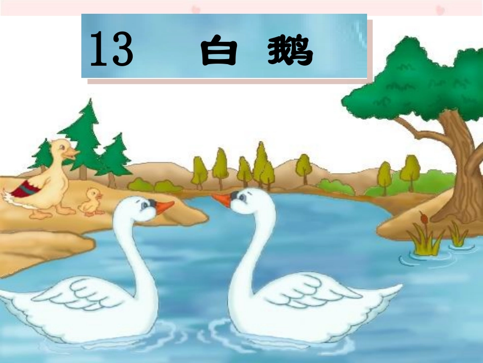 《白鹅》第一课时教学课件_第1页