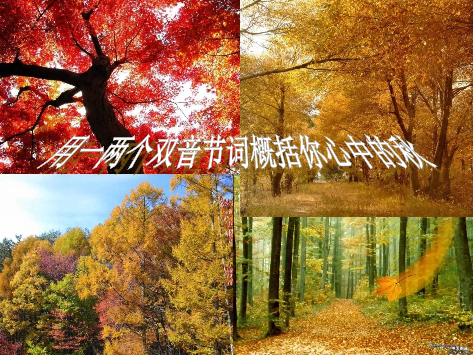 高中语文 (秋歌——给暖暖)课件2 新人教版选修(中国现代诗歌散文欣赏) 课件_第1页