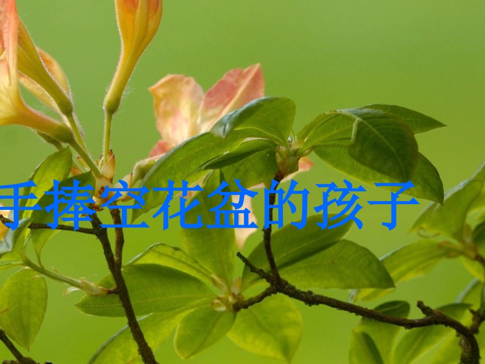 手捧空花盆的孩子____课件2_第1页