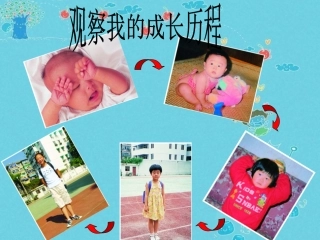 人的新个体发育