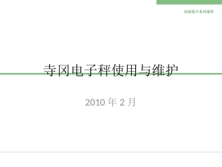 寺冈SM-100电子秤top2000