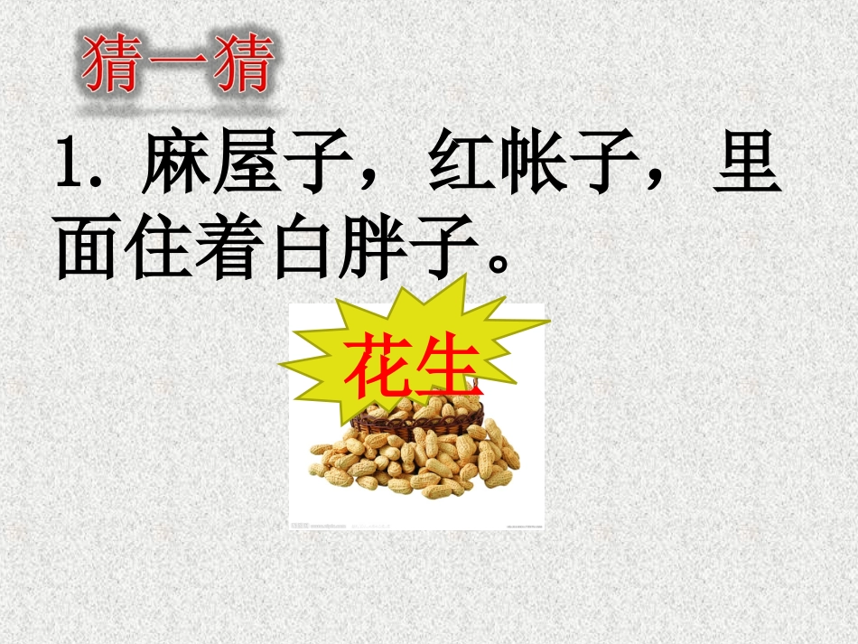 植物的生殖课件_第1页