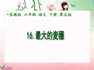 最大的麦穗课件（苏教版语文六年级下册）