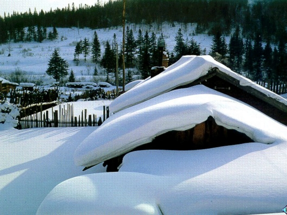 《中国四大区域差异》复习课件_第3页