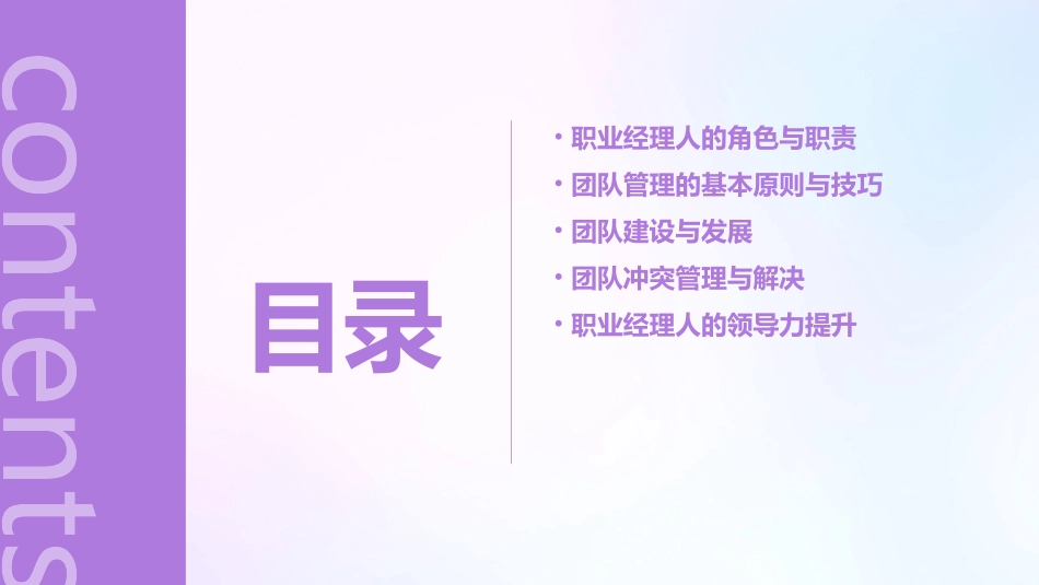 精品分享职业经理人的团队管理(共51页)课件_第2页