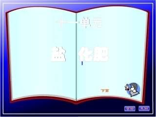 人教版初中化学_盐的性质总结课件