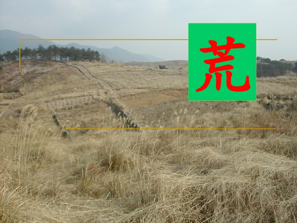 北大荒的秋天课件 _第1页