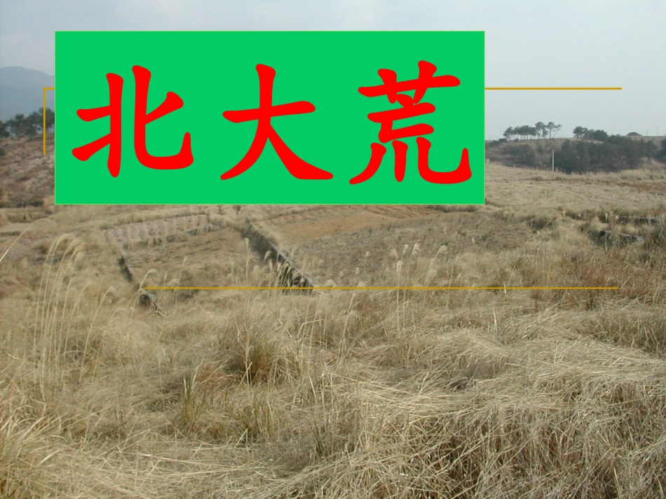 北大荒的秋天课件 _第2页