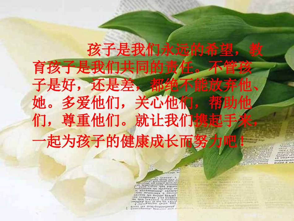 初三243班中考冲刺家长会课件_第3页
