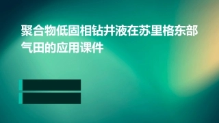 聚合物低固相钻井液在苏里格东部气田的应用课件