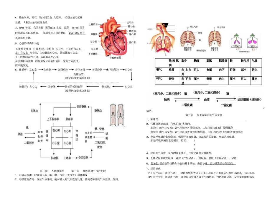 冀少版初中生物复习七年级下册知识点总结_第2页