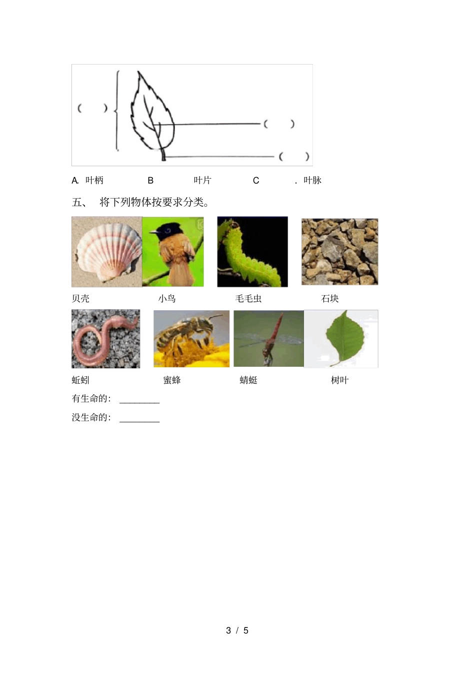 冀教版一年级科学上册月考考试卷及答案【各版本】_第3页