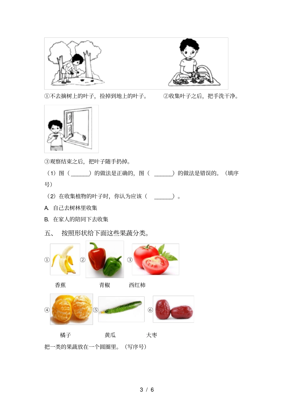 冀教版一年级科学上册期中考试题含答案_第3页