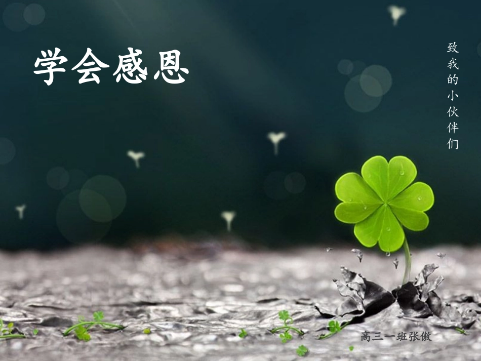 健康心态从学会感恩开始_第1页