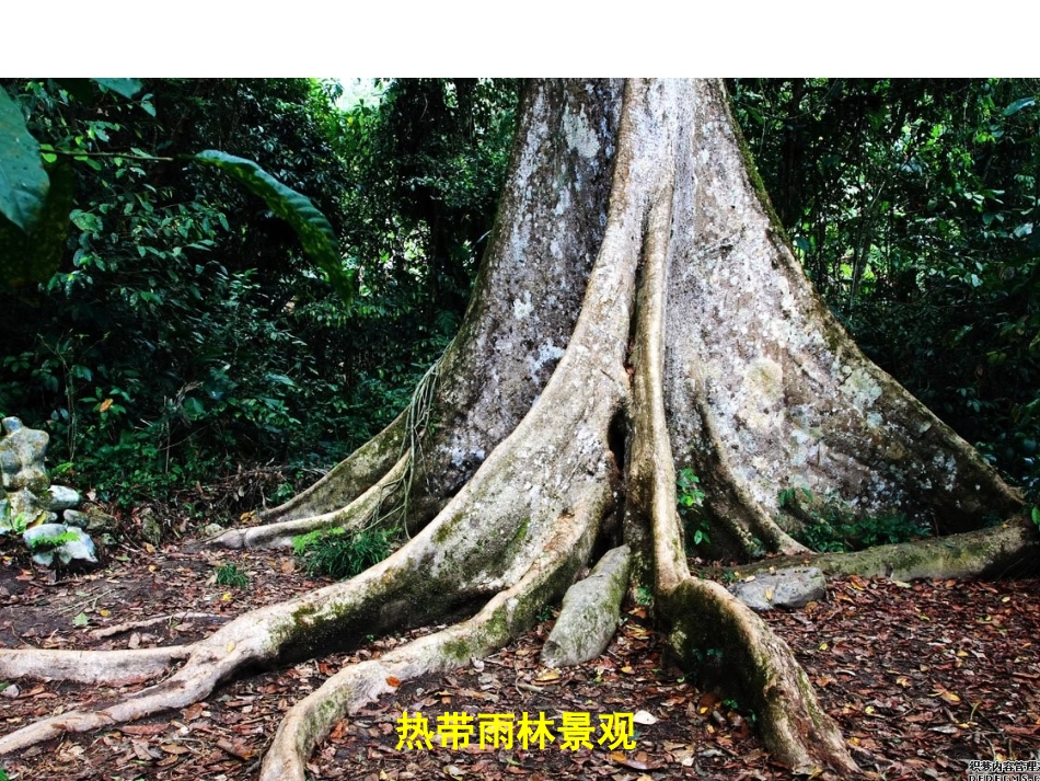 各种气候类型景观图片_第1页