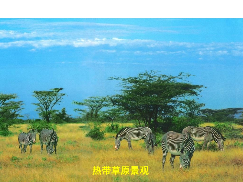 各种气候类型景观图片_第2页