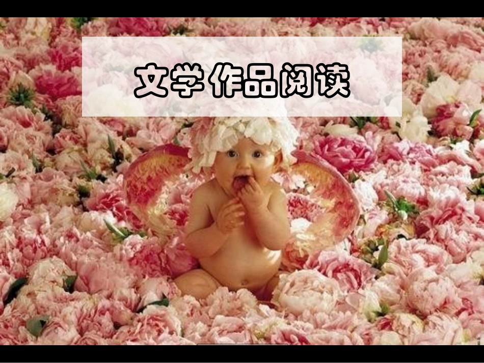 《文学作品阅读(词语句子的含义)》(课件)_第1页