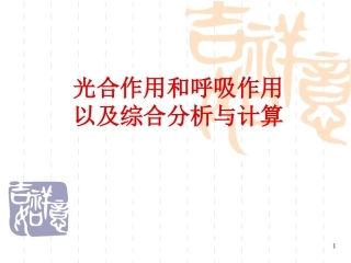 光合作用呼吸作用综合计算(应用)