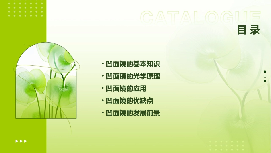 经凹面镜反射后课件_第2页