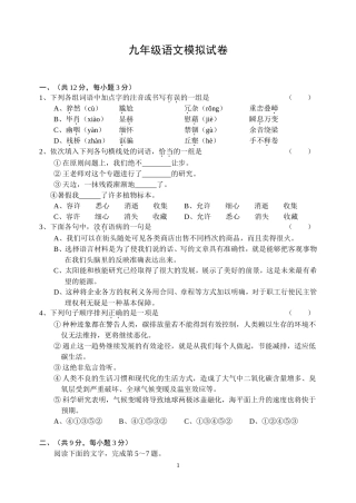 九年级语文模拟试卷