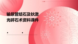 输尿管结石及钬激光碎石术资料课件