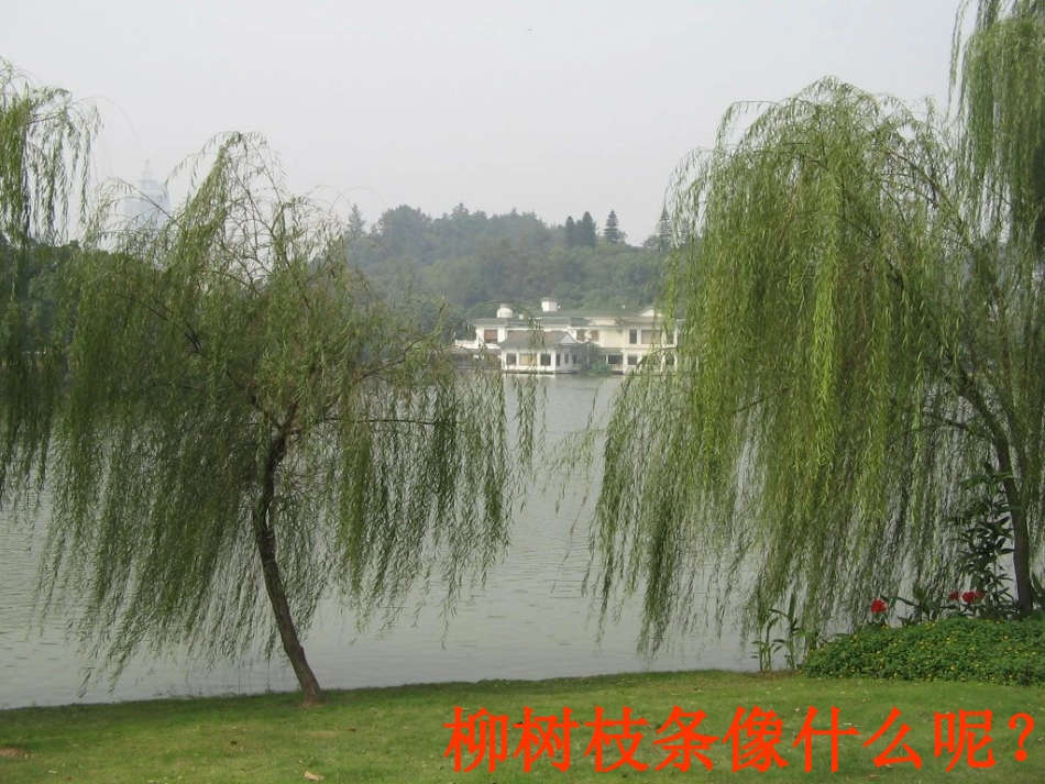 柳树姑娘_大班_音乐_第2页