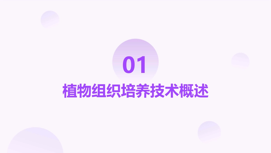 选修三植物组织培养技术课件_第3页