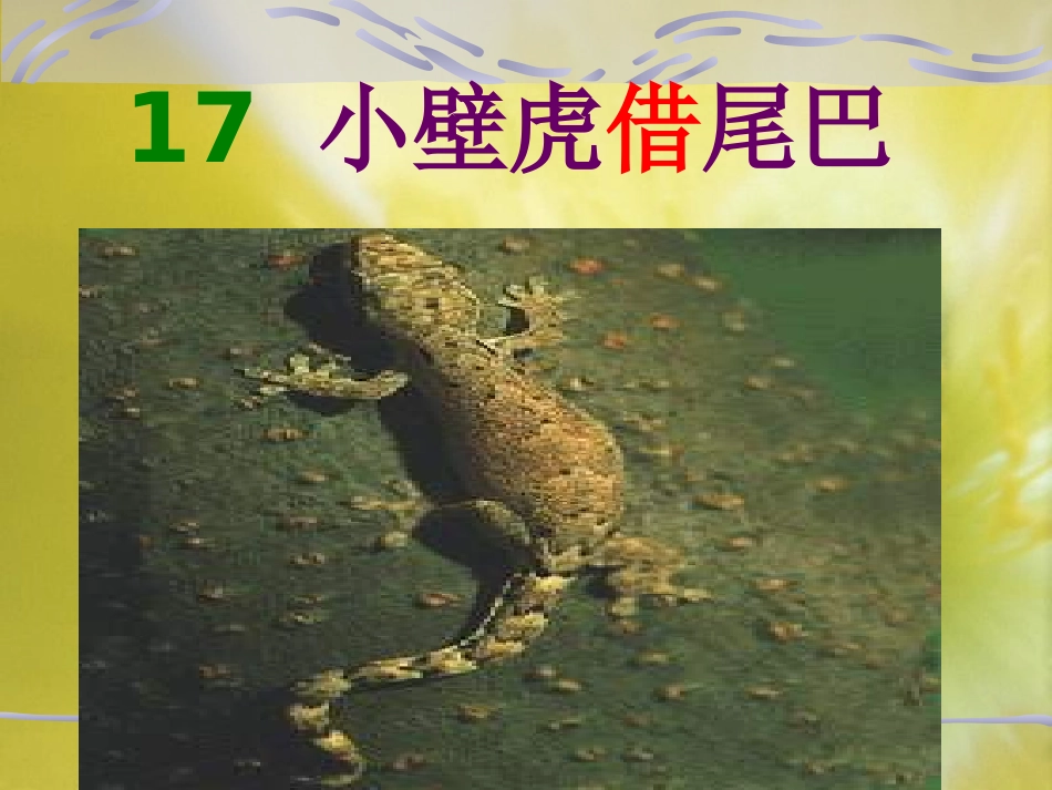 小壁虎借尾巴第二课时_第1页